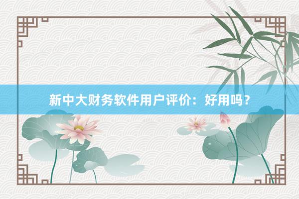 新中大财务软件用户评价：好用吗？