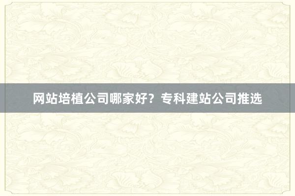网站培植公司哪家好？专科建站公司推选